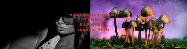 а пвп мука Абаза